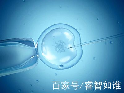 中医妇科