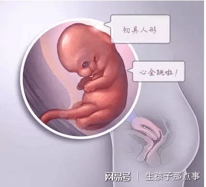 靠谱借卵代怀多少费用